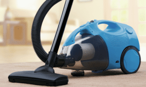 Can Spiders Escape Vacuum Cleaners