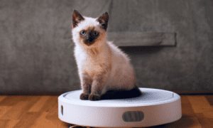 How Long Do Robot Vacuums Last