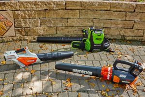 Vacuum Cleaner for Artificial Grass