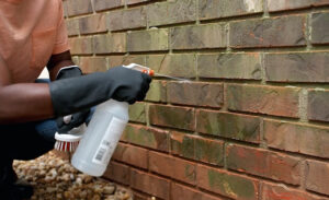 How to Clean Brick House