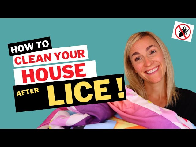 How to Clean the House for Lice: Effective Strategies - House Stopper