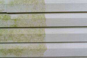 How to Clean Algae off House Siding