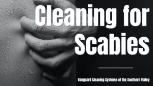 How to Clean House of Scabies