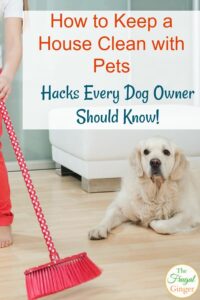 How to Keep Your House Clean With a Dog