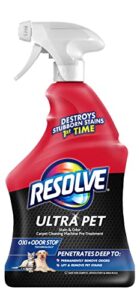Best Spot Carpet Cleaner Spray for Pet Stains