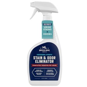 Best Spot Cleaner for Dog Urine