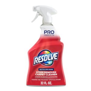Best Spot Cleaner for Rugs