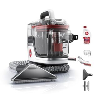 Best Spot Extractor for Thick Carpet