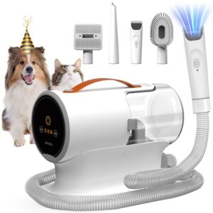 What'S Best Vacuum Cleaner for Dog Hair