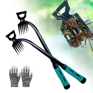 Which is the Best Tool for This Purpose
